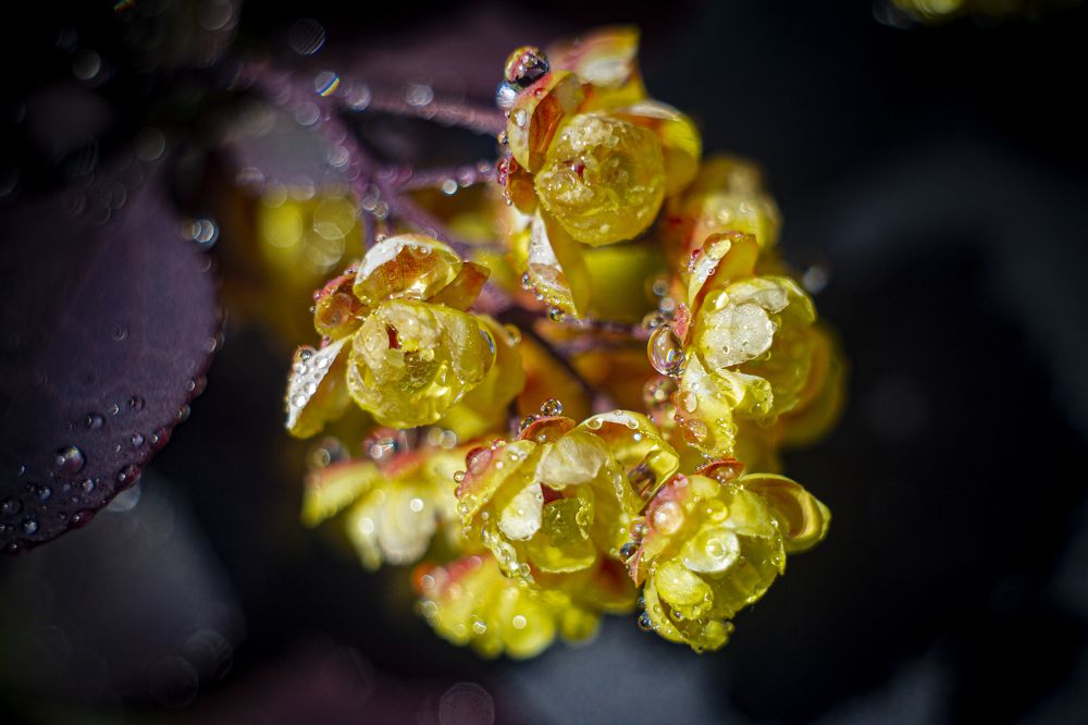 Photograph by Андрей Тарасюк