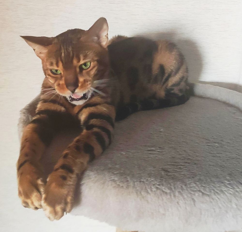 Photograph by Светлана Цветкова