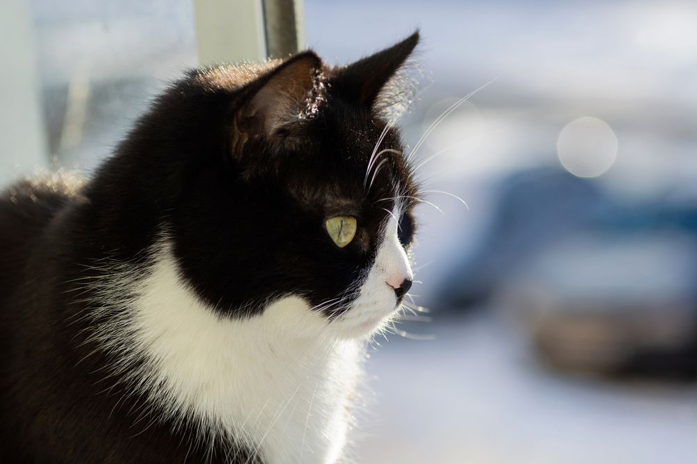 Photograph by Александр Калегин