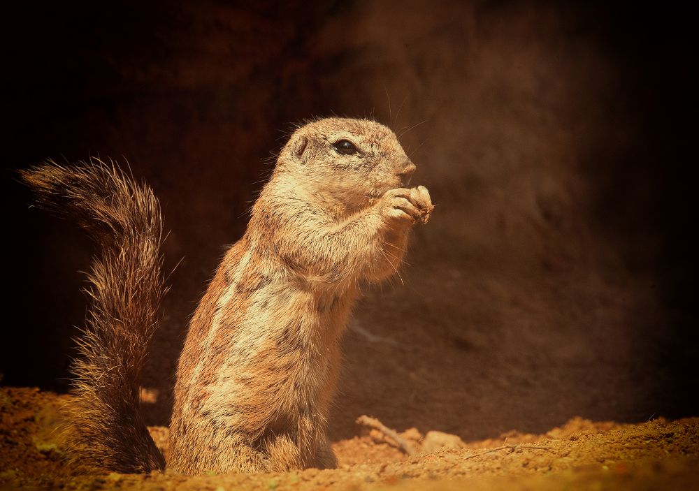 Photograph by Jiří Niš