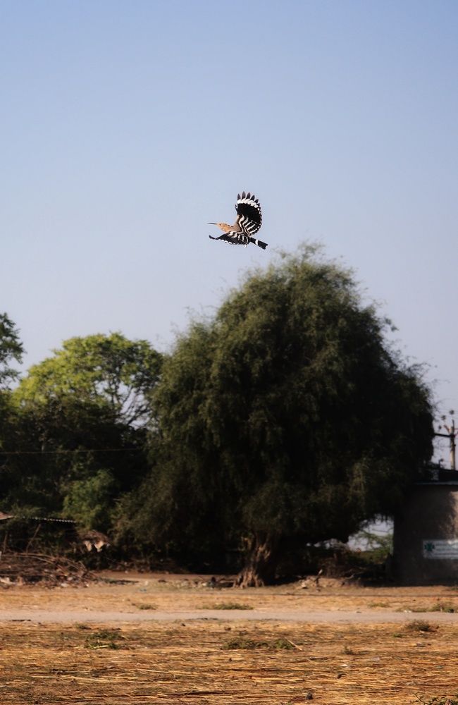 Photograph by Premal Nandpal