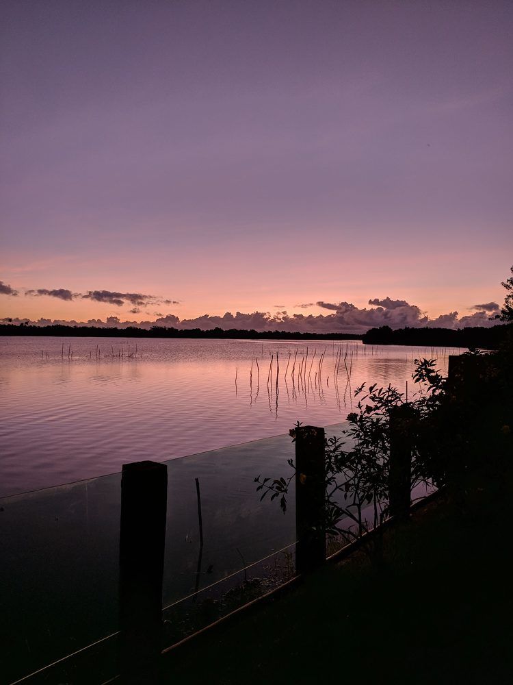 Photograph by João Pedro Silva