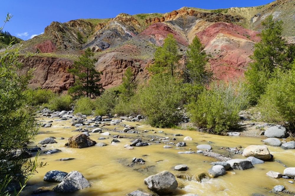 Фотография автора Татьяна Добровольская