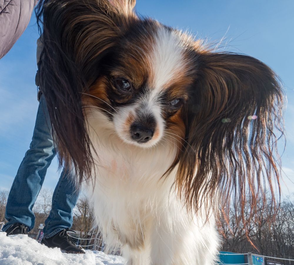 Photograph by Матвей Матвеев