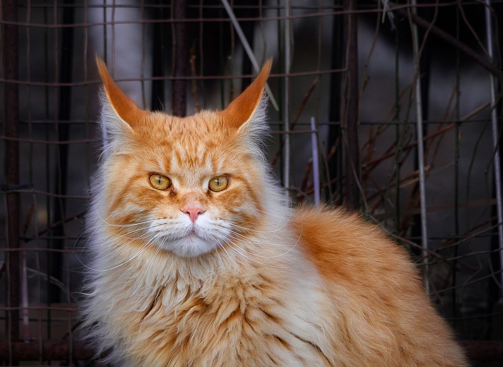 Photograph by Матвей Матвеев