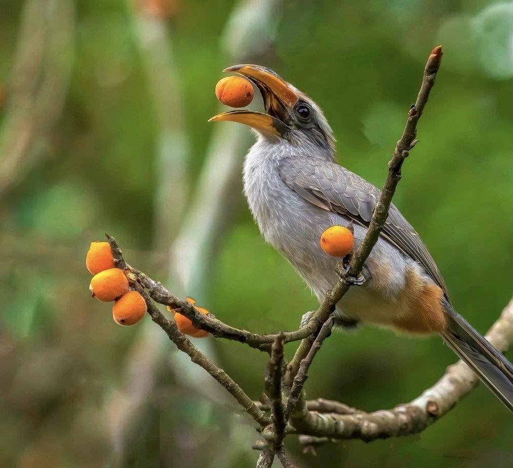 Photograph by Abhijit Adagule