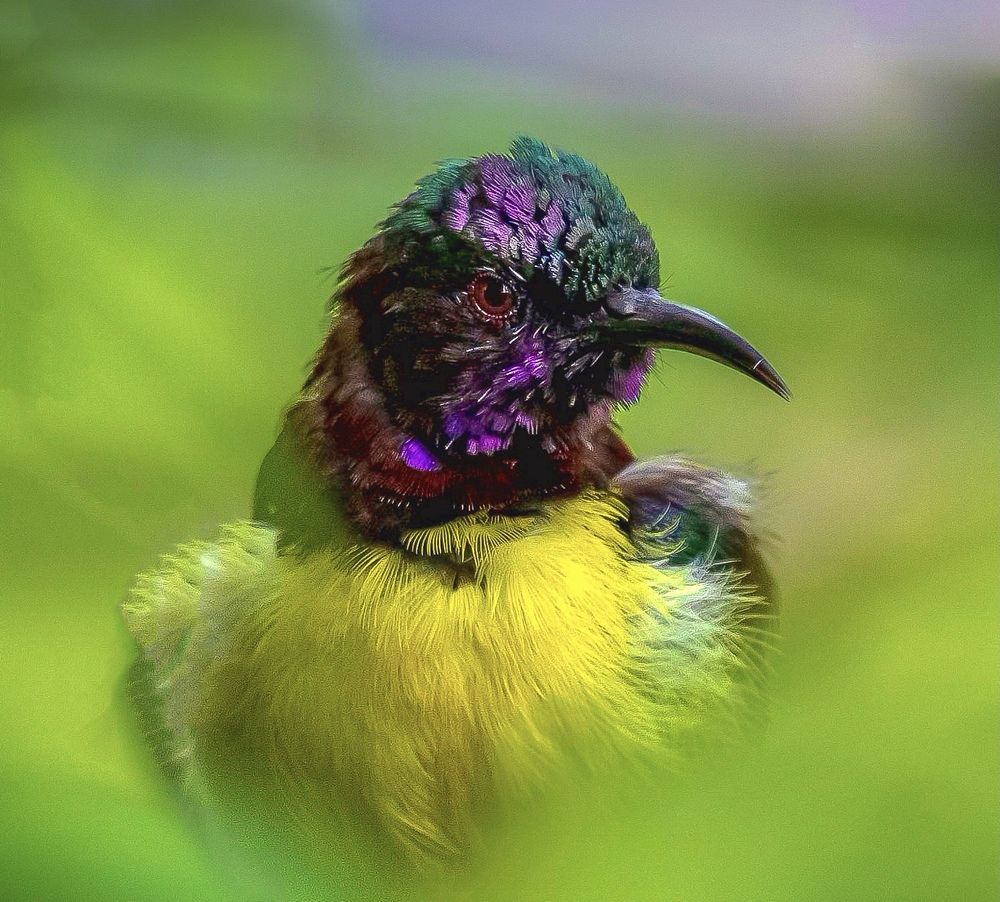 Photograph by Abhijit Adagule