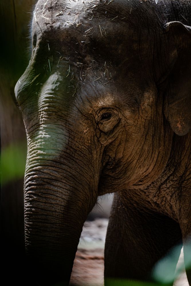 Photograph by  Michael