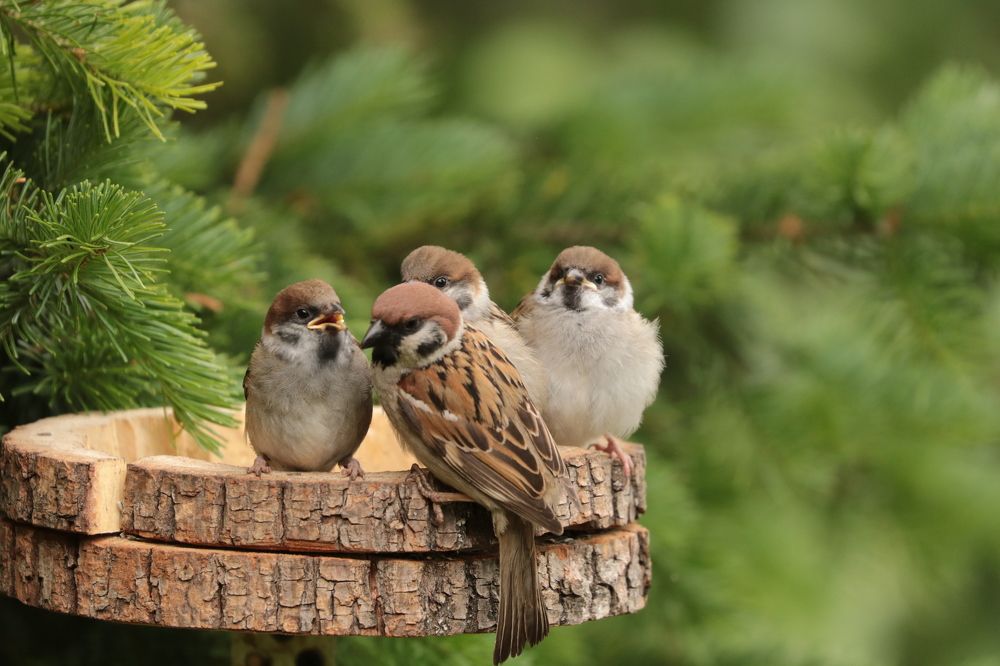 Photograph by Артемий