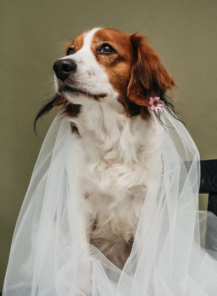 Photograph by Наталья Буракова