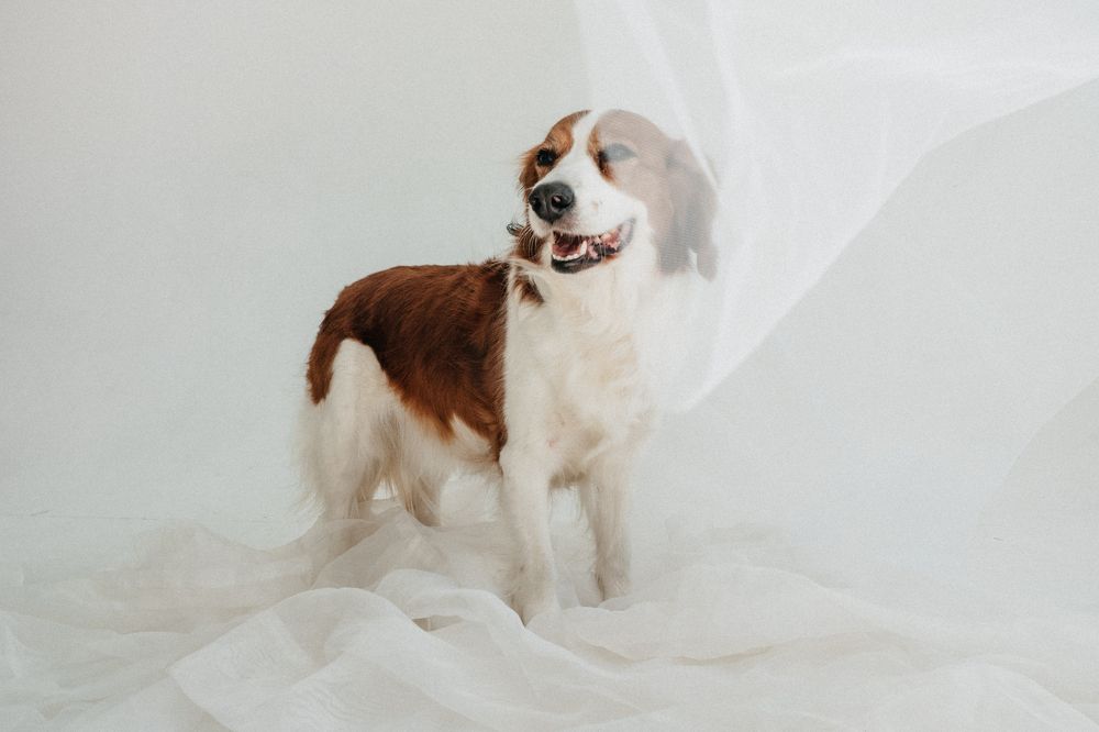 Photograph by Наталья Буракова