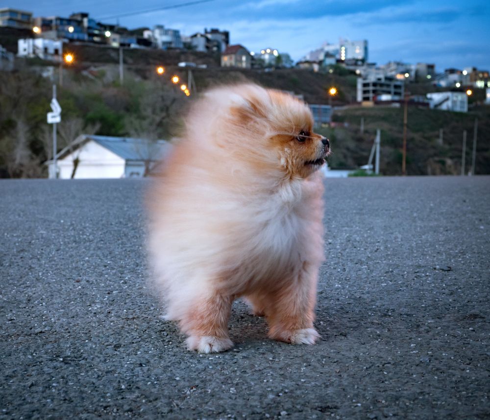 Photograph by Матвей Матвеев