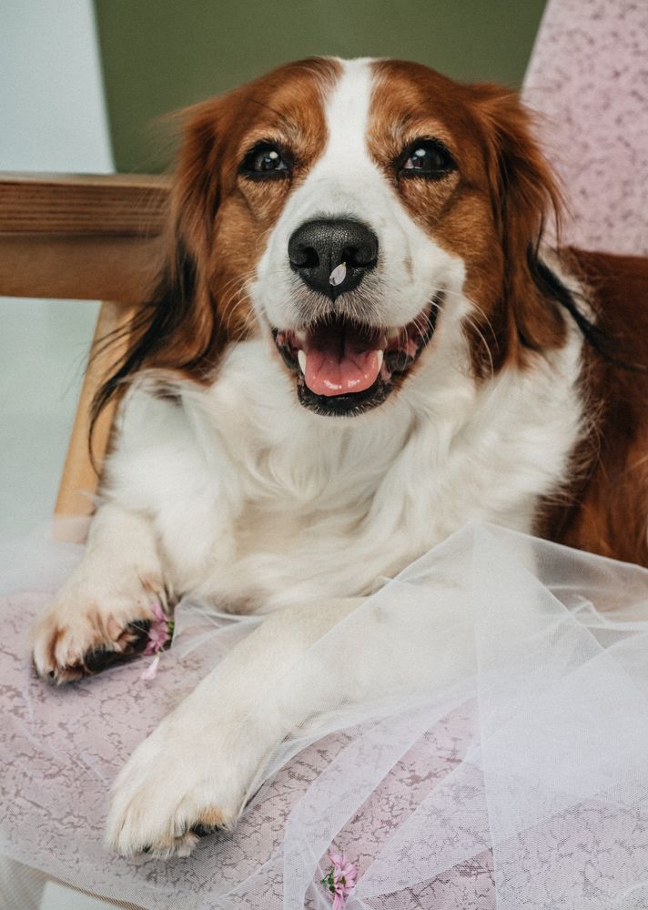 Photograph by Наталья Буракова