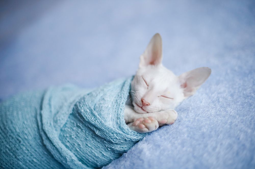 Photograph by Olga Lebedeva