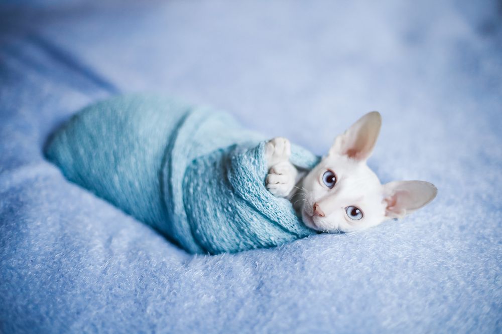 Photograph by Olga Lebedeva