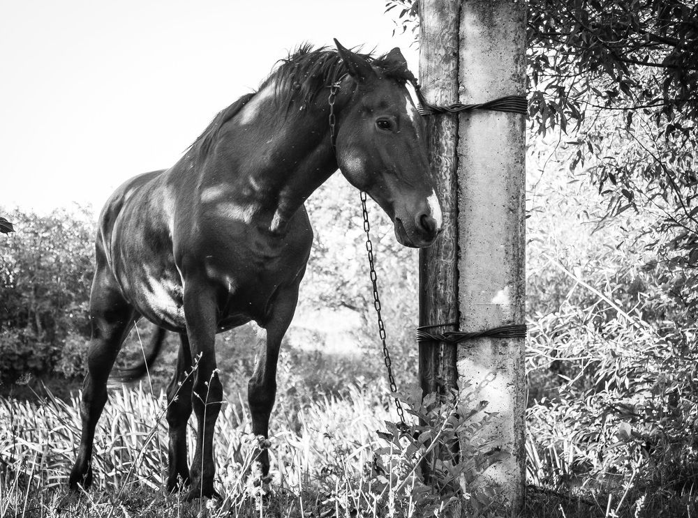 Photograph by Veronika Koneva