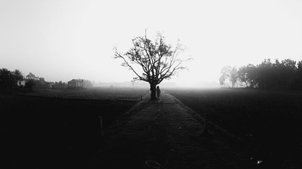 Photograph by sunam abu huraira