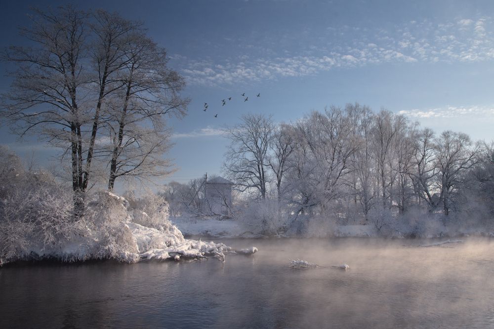 Photograph by Людмила Сиденко