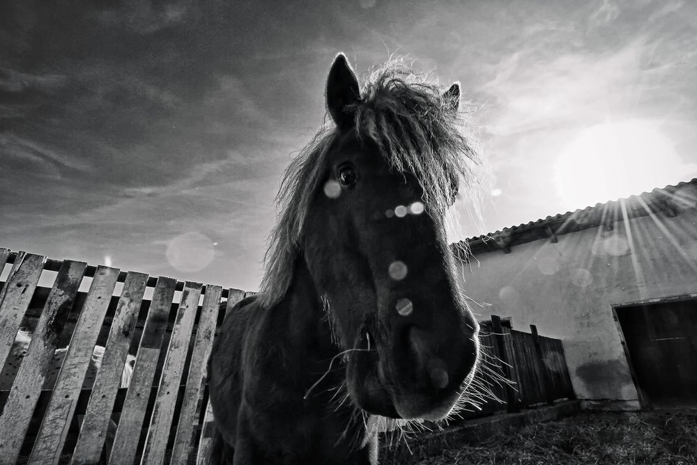 Photograph by Peter Markus