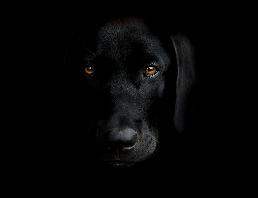 Photograph by Peter Markus