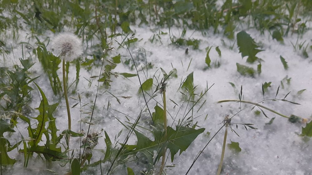 Лето в городе