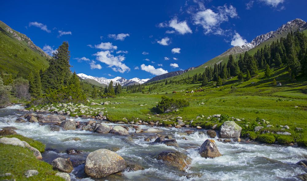 Фотография автора Татьяна Меньшикова