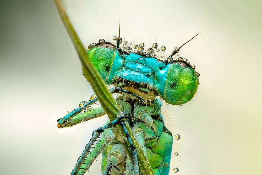 Photograph by Иван Радьков