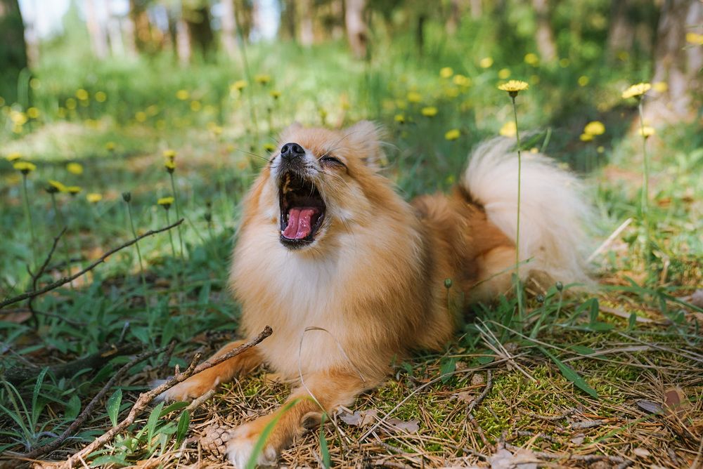 Фотография автора Алиса Чурчудесная