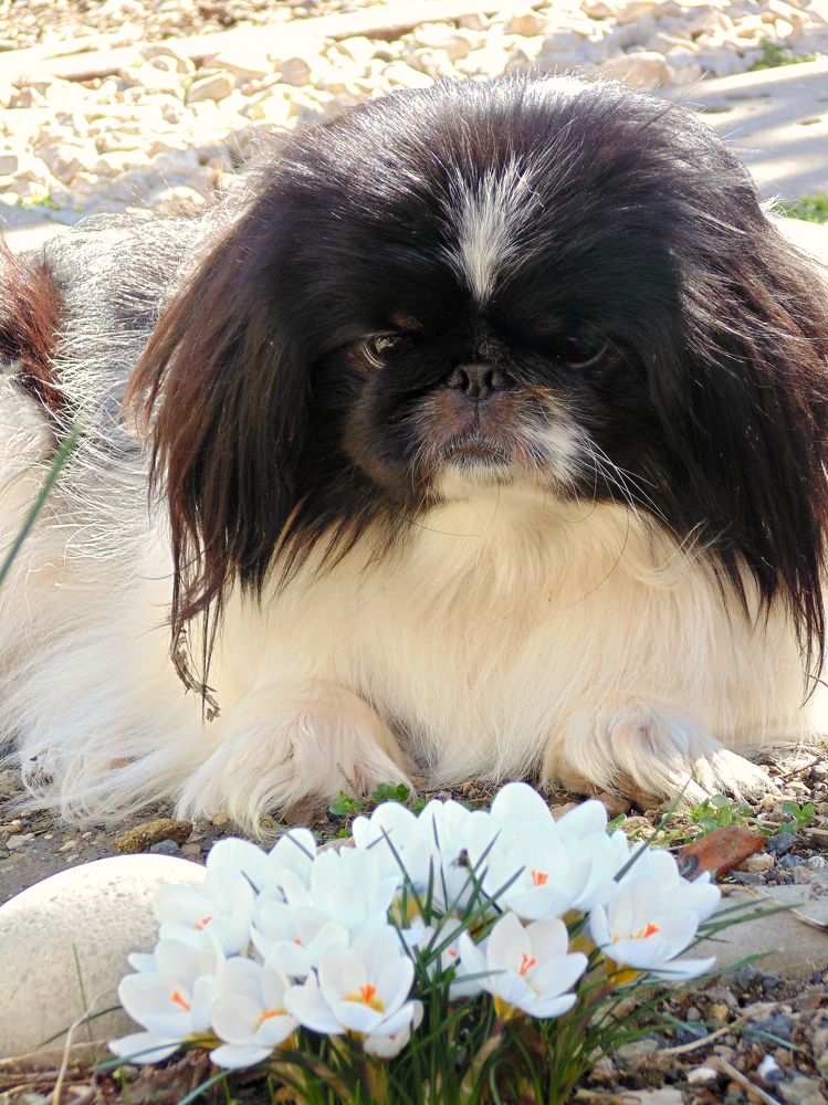 Photograph by Татьяна Стаскевич