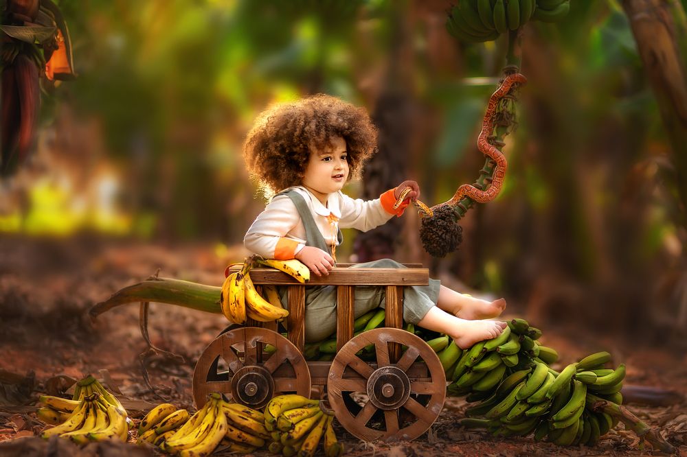 Photograph by Etili Hollander