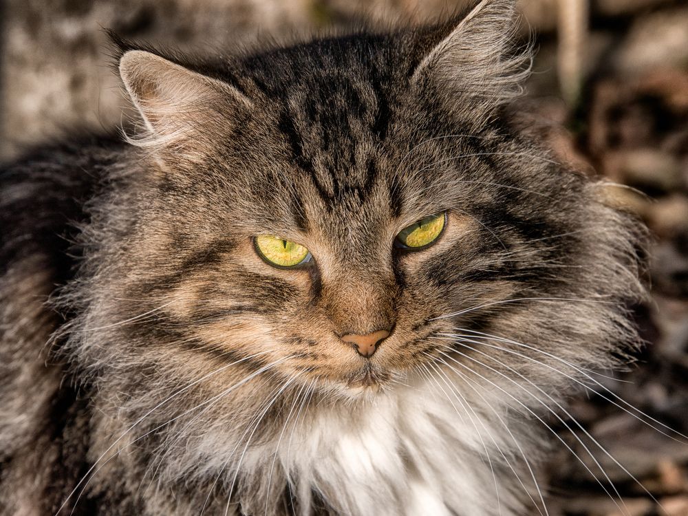 Photograph by Владимир Кваша