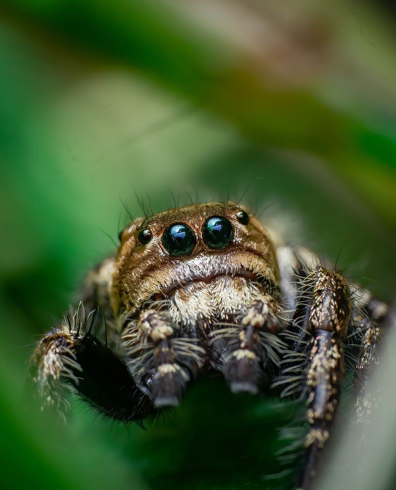 Фотография автора Kiran KV