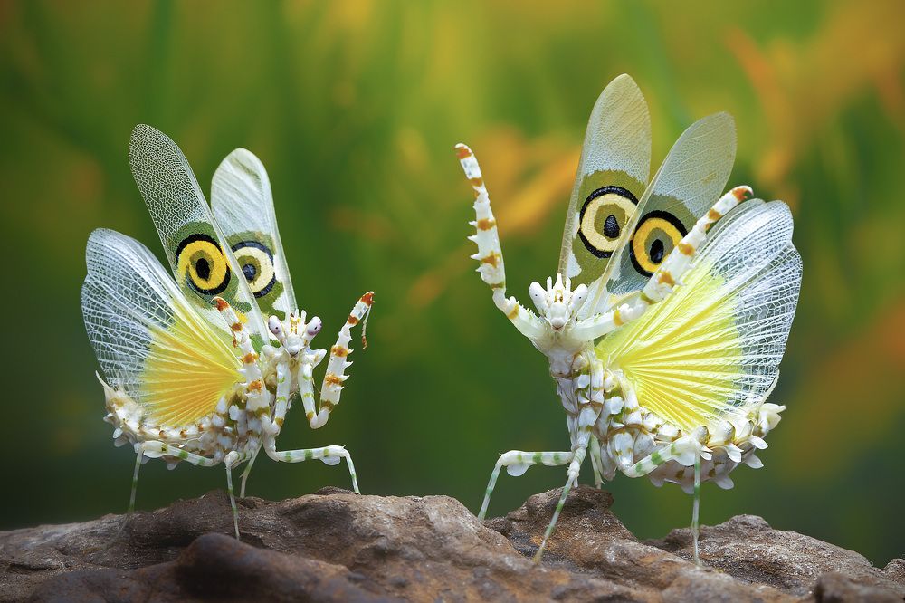 Photograph by way pang