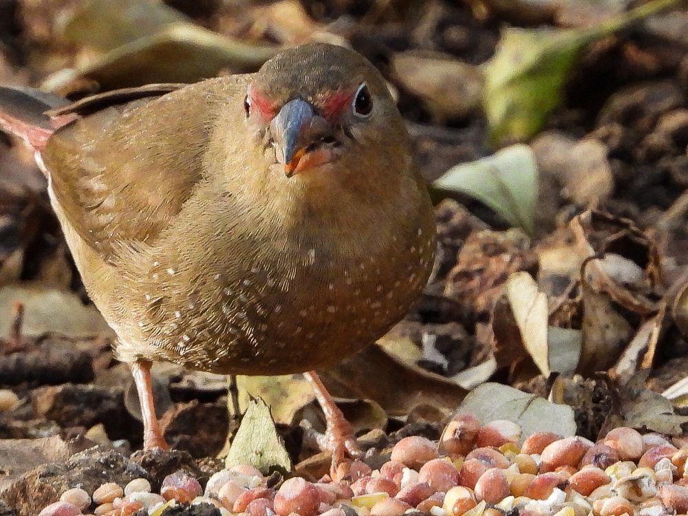 Photograph by Linette Bothma