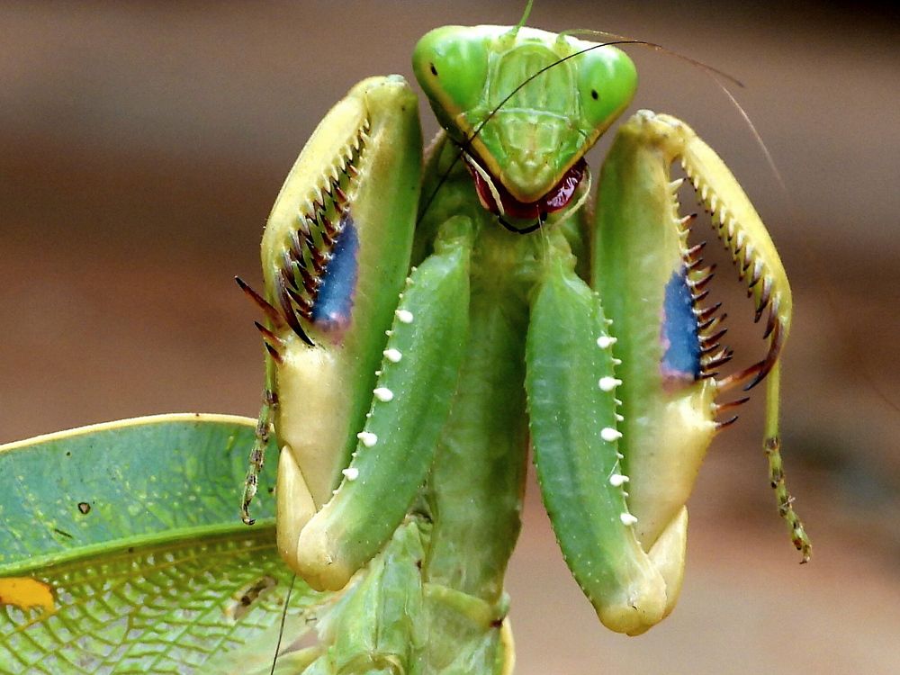 Photograph by Linette Bothma