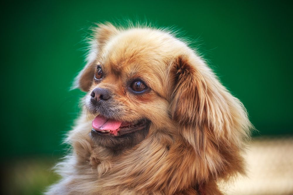 Photograph by Владимир Кваша