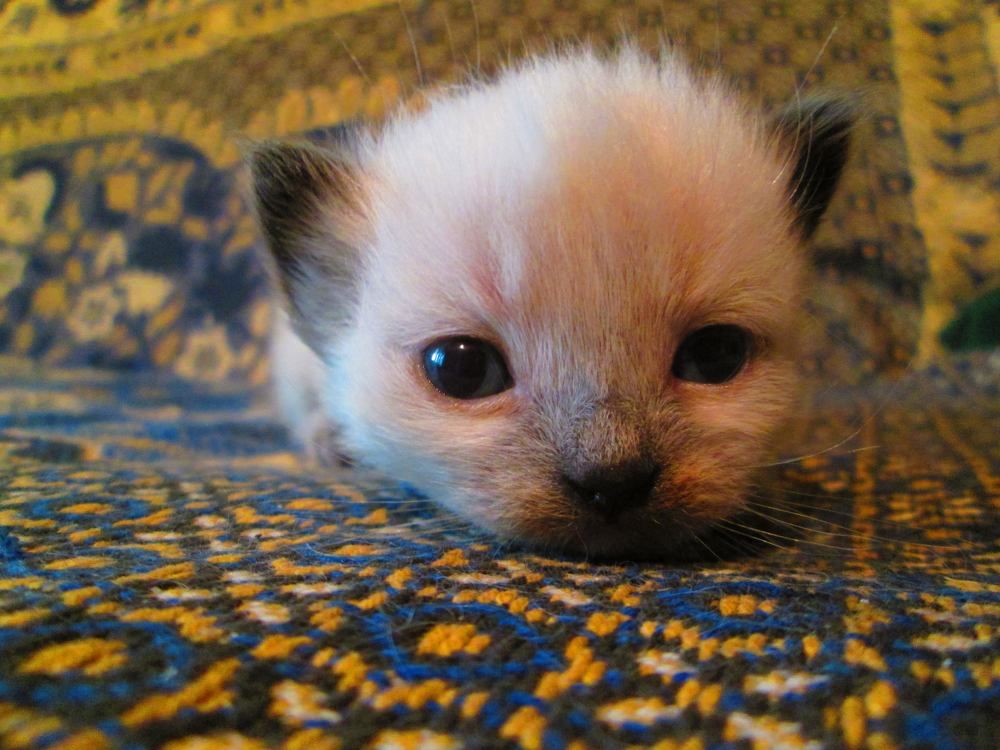 Photograph by Veronica Kravchonok