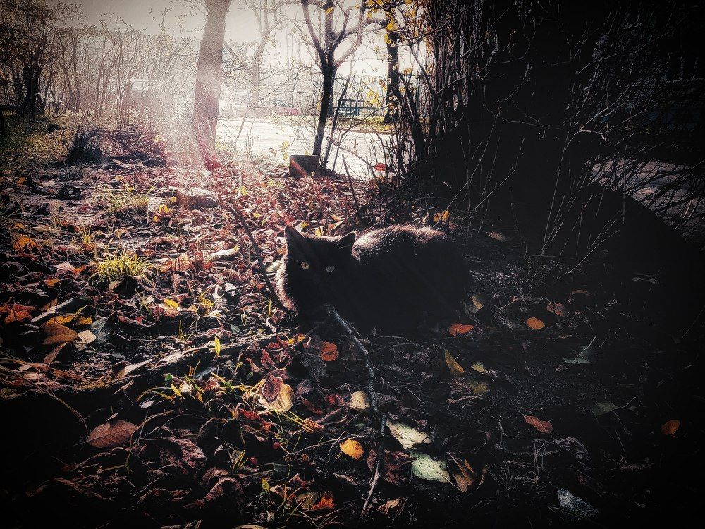 Photograph by Veronica Kravchonok