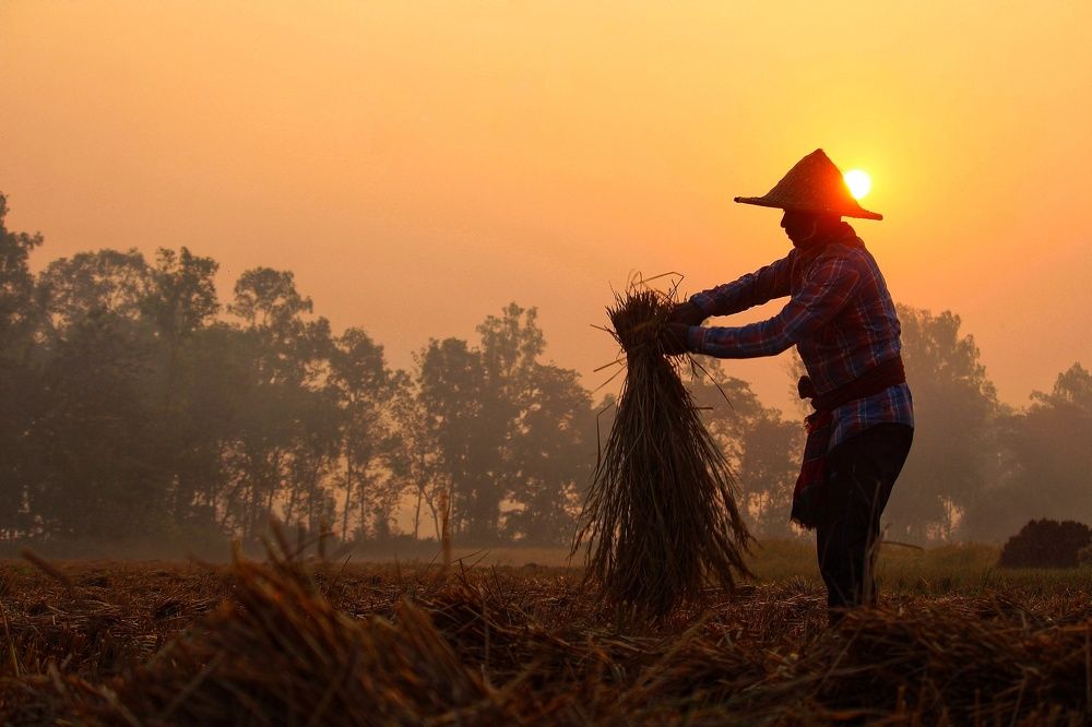 Photograph by Fuad sarker