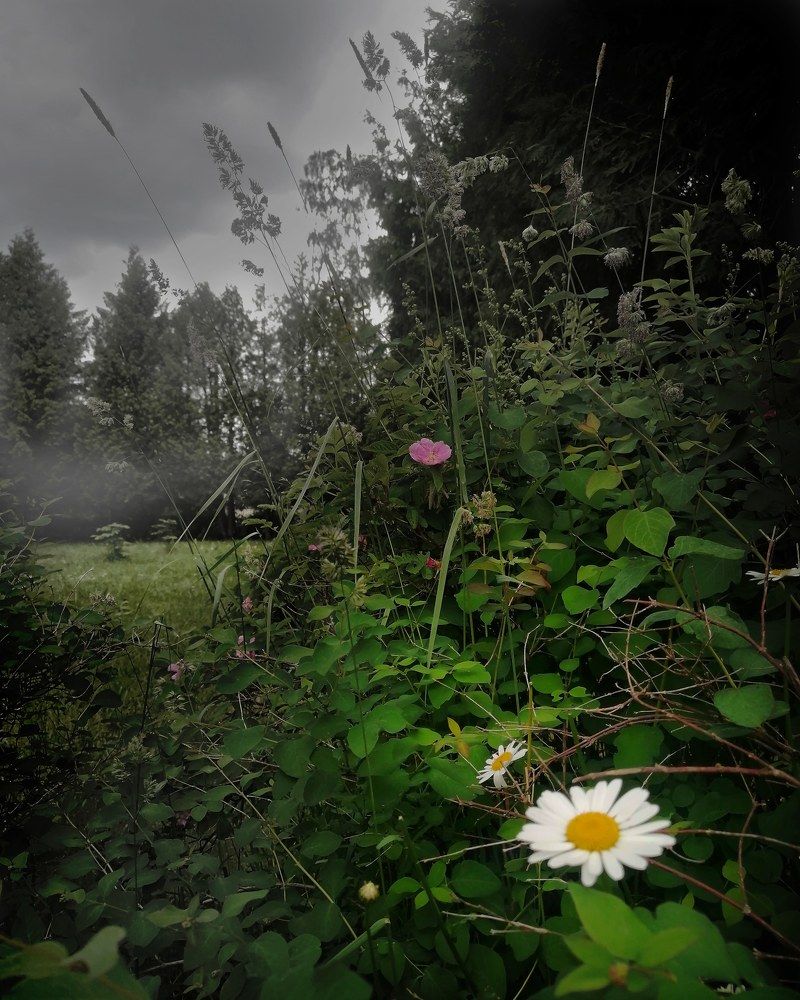 Photograph by Елена Лепешкина