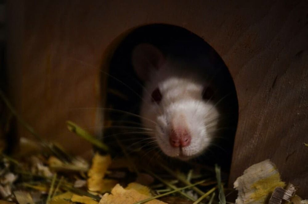 Photograph by Надежда Петрова