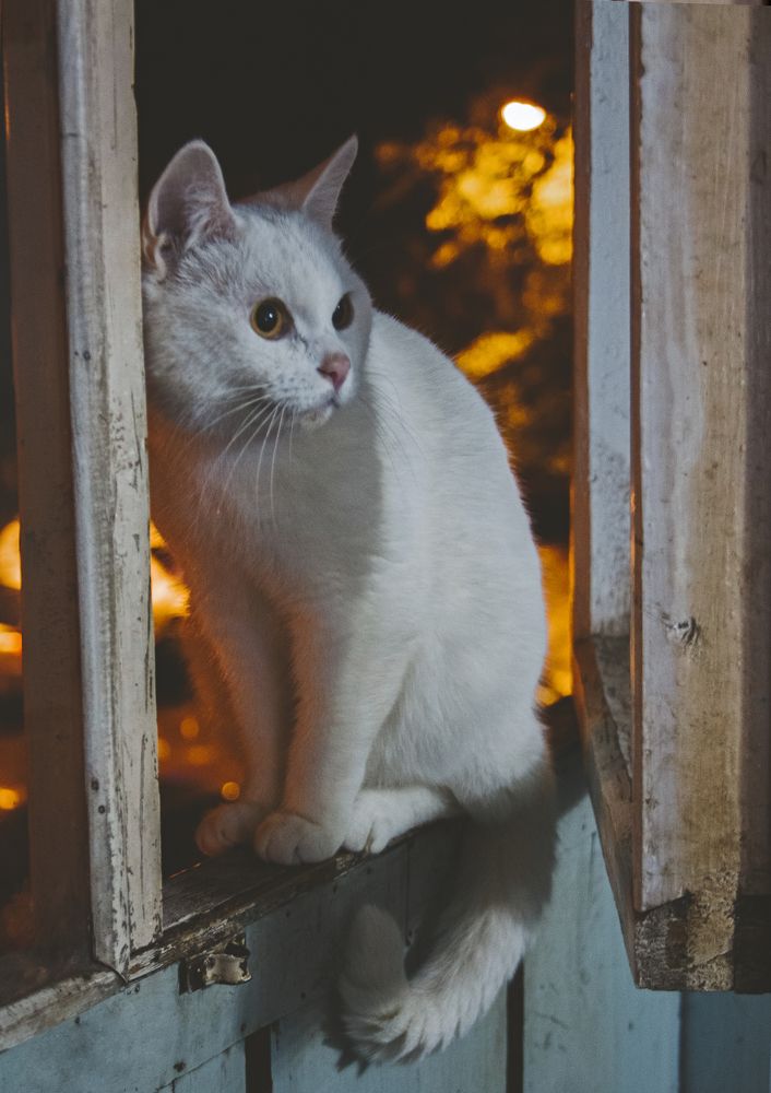 Photograph by Ольга Остапенко