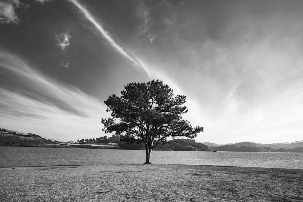 Photograph by Hoai Anh Dang