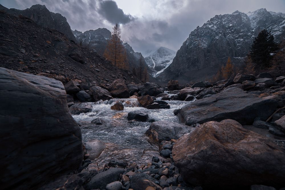 Photograph by Надежда Стецова