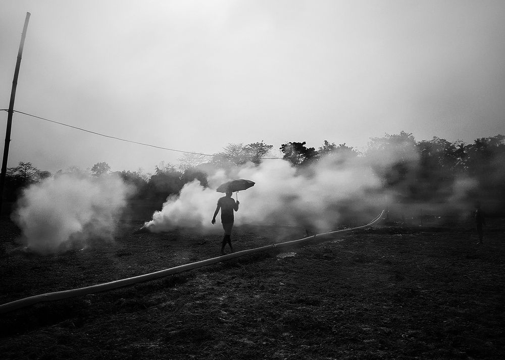 Фотография автора PRADIPTAMOY PAUL