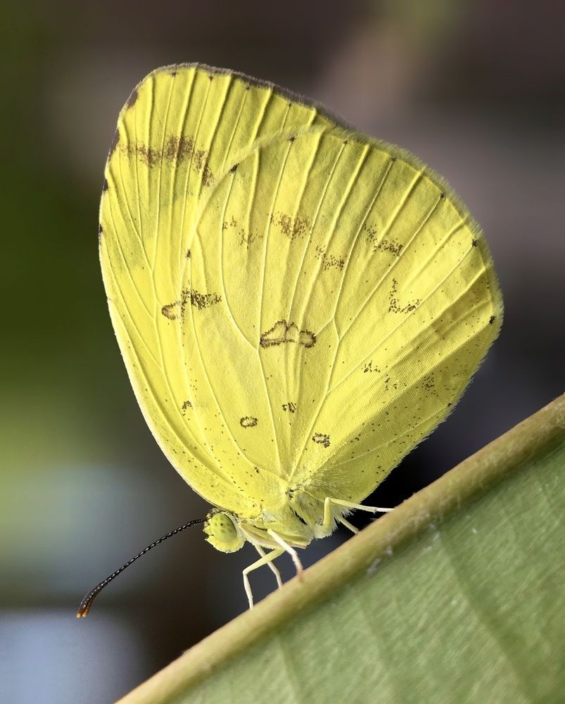 The Beauty of Nature