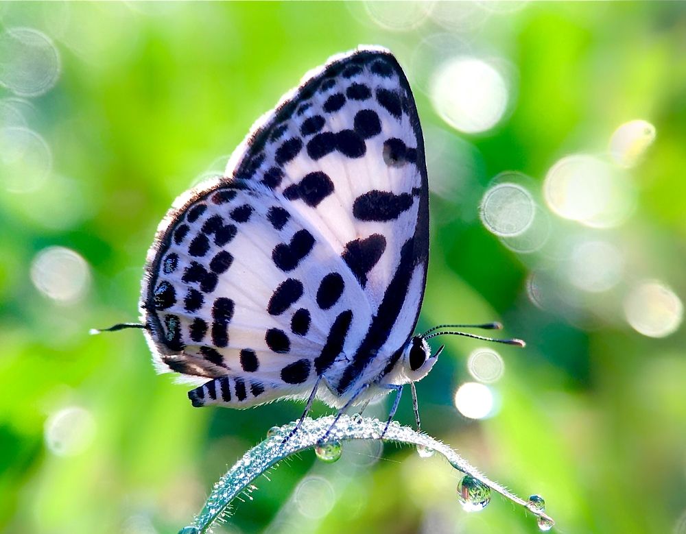 The Beauty of Nature