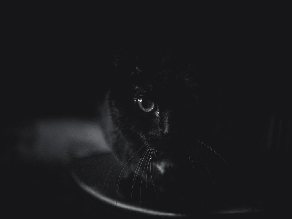 Photograph by 