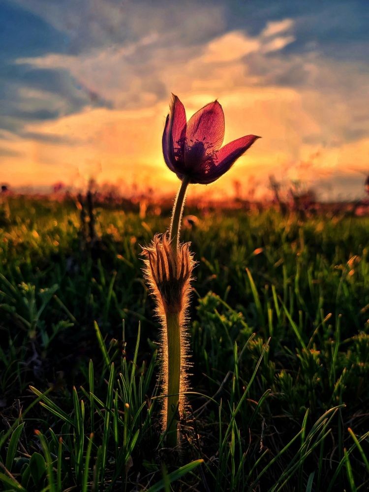 Photograph by Ольга Веселова