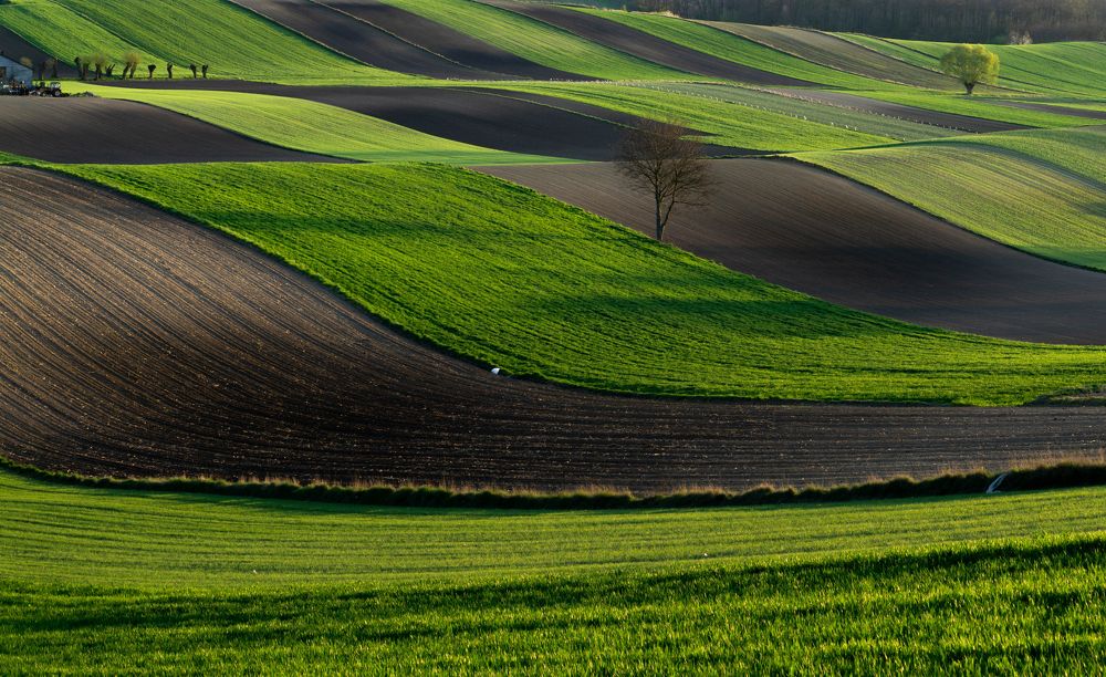 Fields on Ponidzie in Poland.